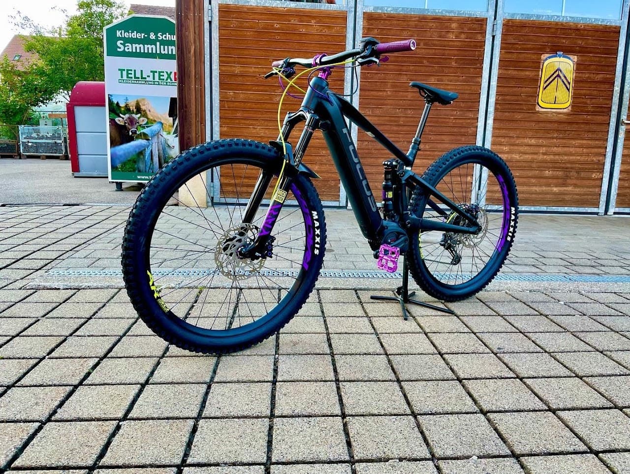 Martina's Focus Jam² - Bild 3